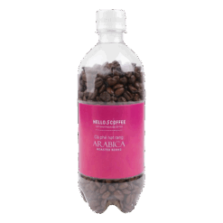 arabica