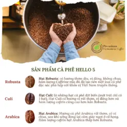 Hello 5 Coffee ROYAL