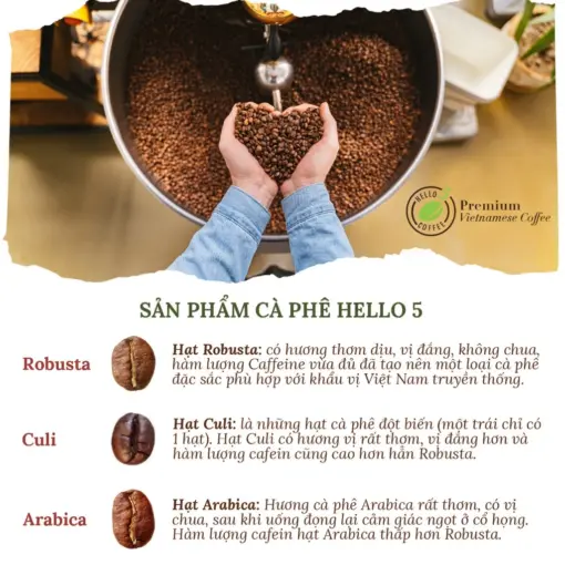 Hello 5 Coffee ROYAL