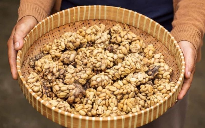 Không bất ngờ khi cà phê Chồn Việt Nam thường có giá rất cao